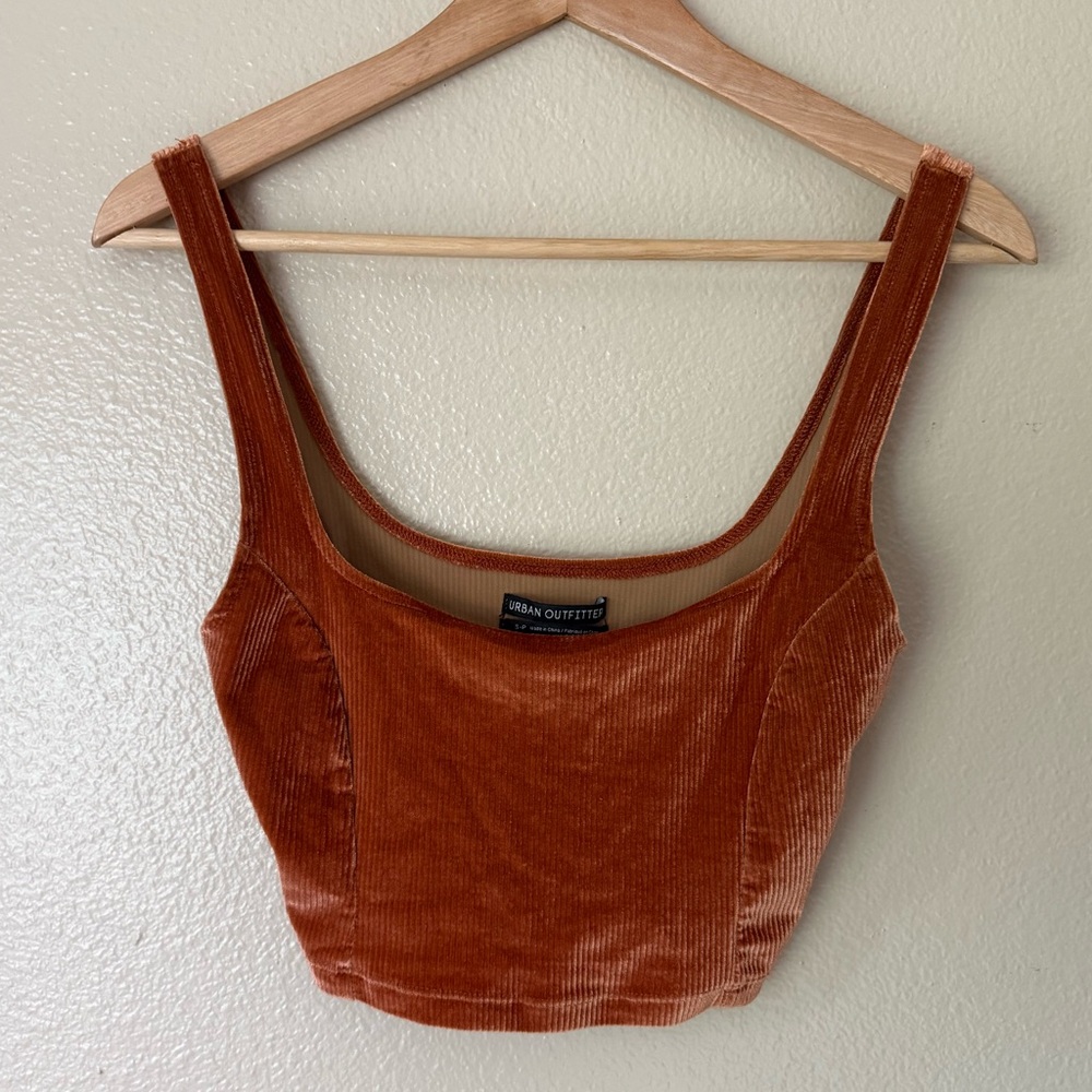 Urban Outfitters Rust Velvet Crop Top